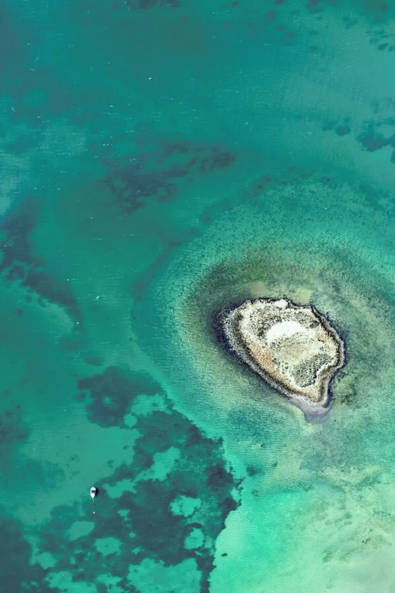 Shark Bay 7 pellicola backlit da Simon Butterworth