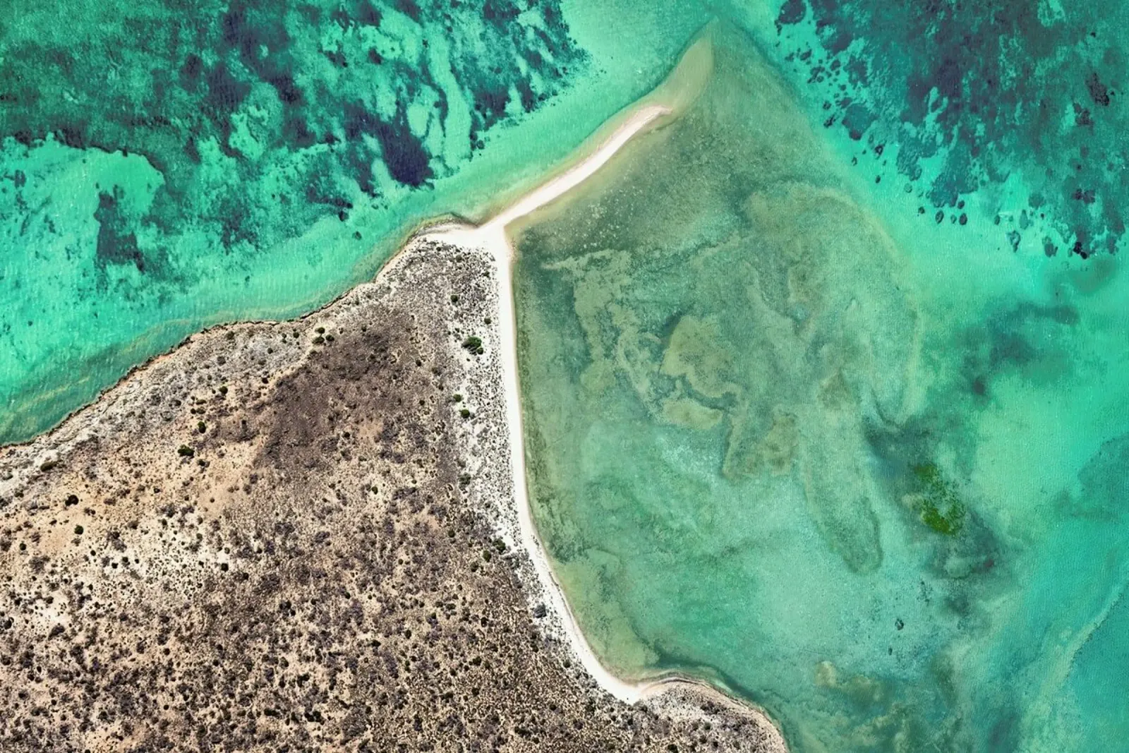 Shark Bay 8 pellicola backlit da Simon Butterworth