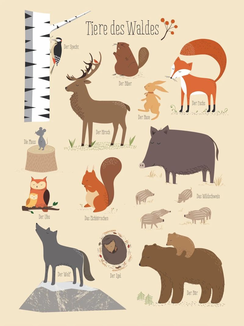 Tiere des Waldes poster de VIERUNDFÜNFZIG