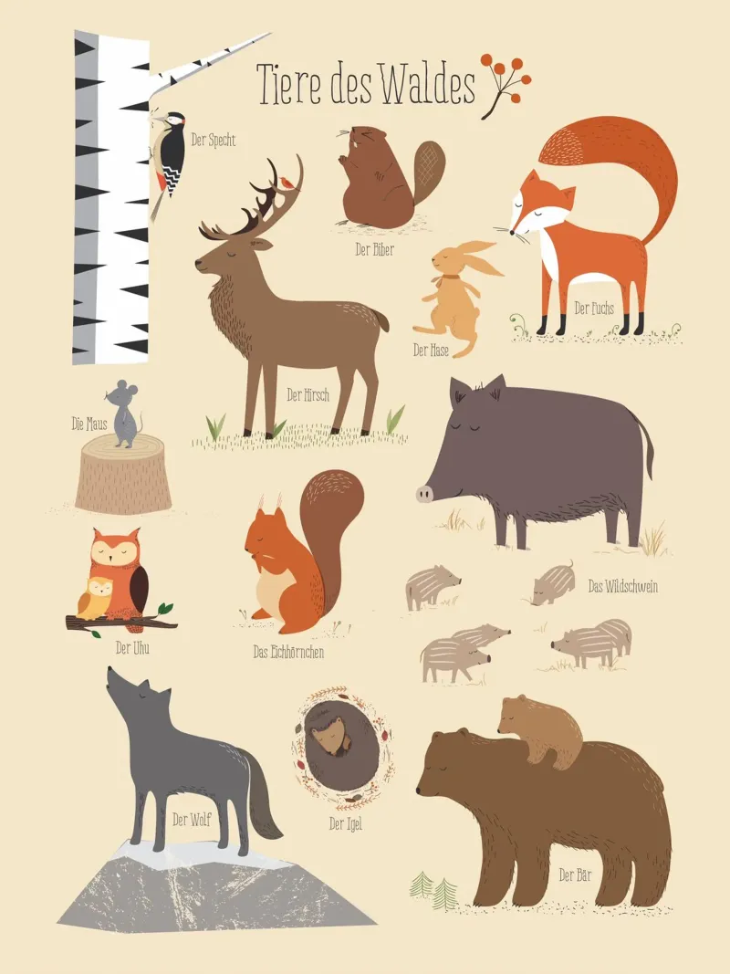 Tiere des Waldes tela da VIERUNDFÜNFZIG