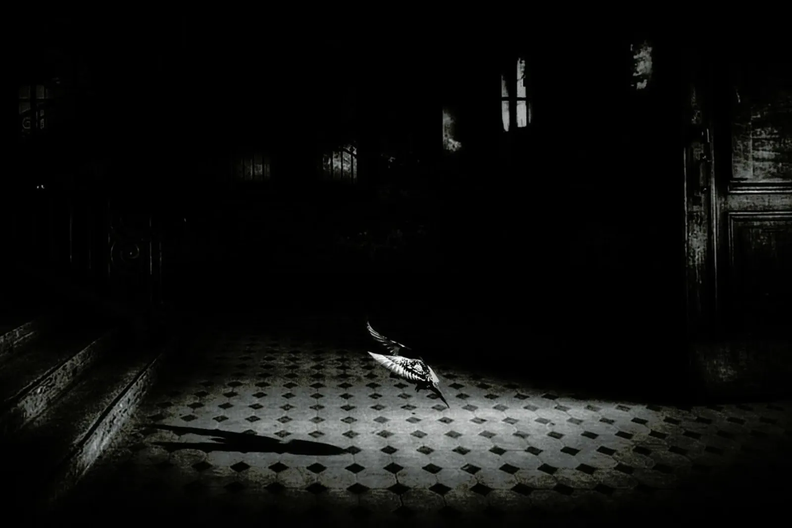 Chance encounter - Holger Droste poster da Pictufy