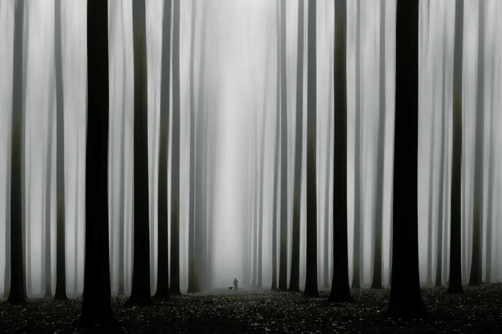 Labyrinth - Jochen Bongaerts plexiglass da Pictufy