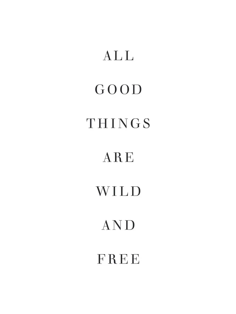Wild and Free - Inspiring typography print hahnemühle by Whole©