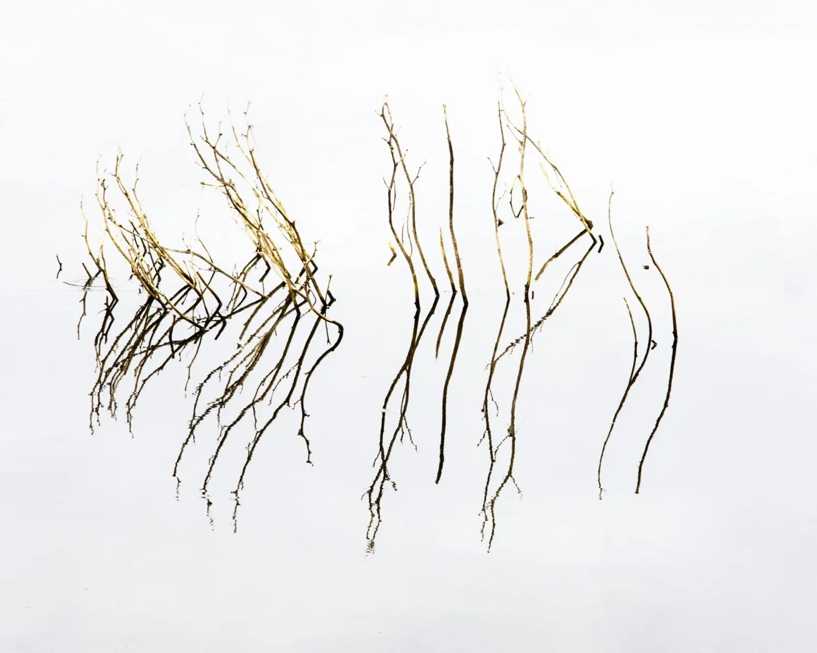 Minimal abstract reflections canvas by Teresa André