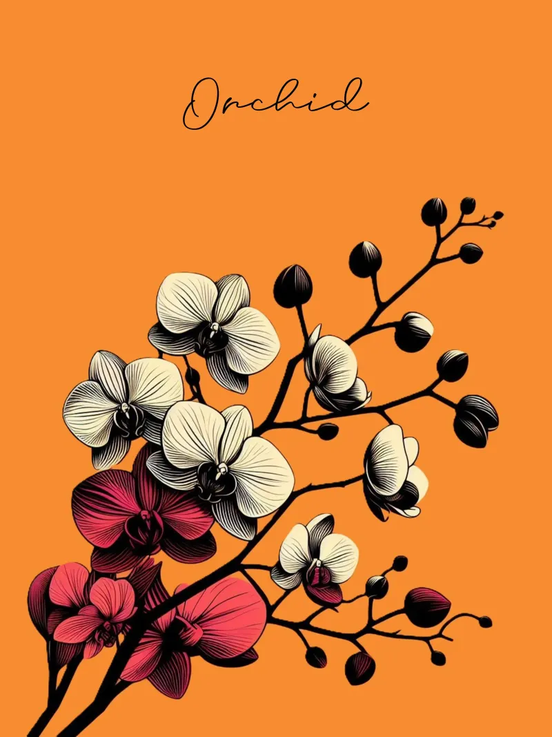 Orchidee poster da Digital Naive
