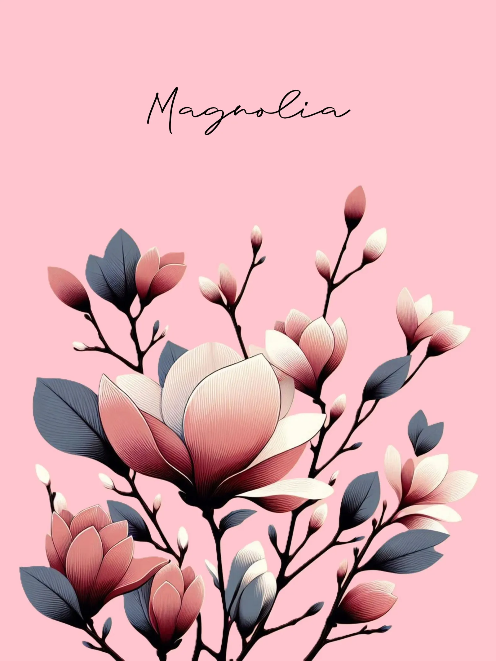 Magnolie pellicola backlit da Digital Naive