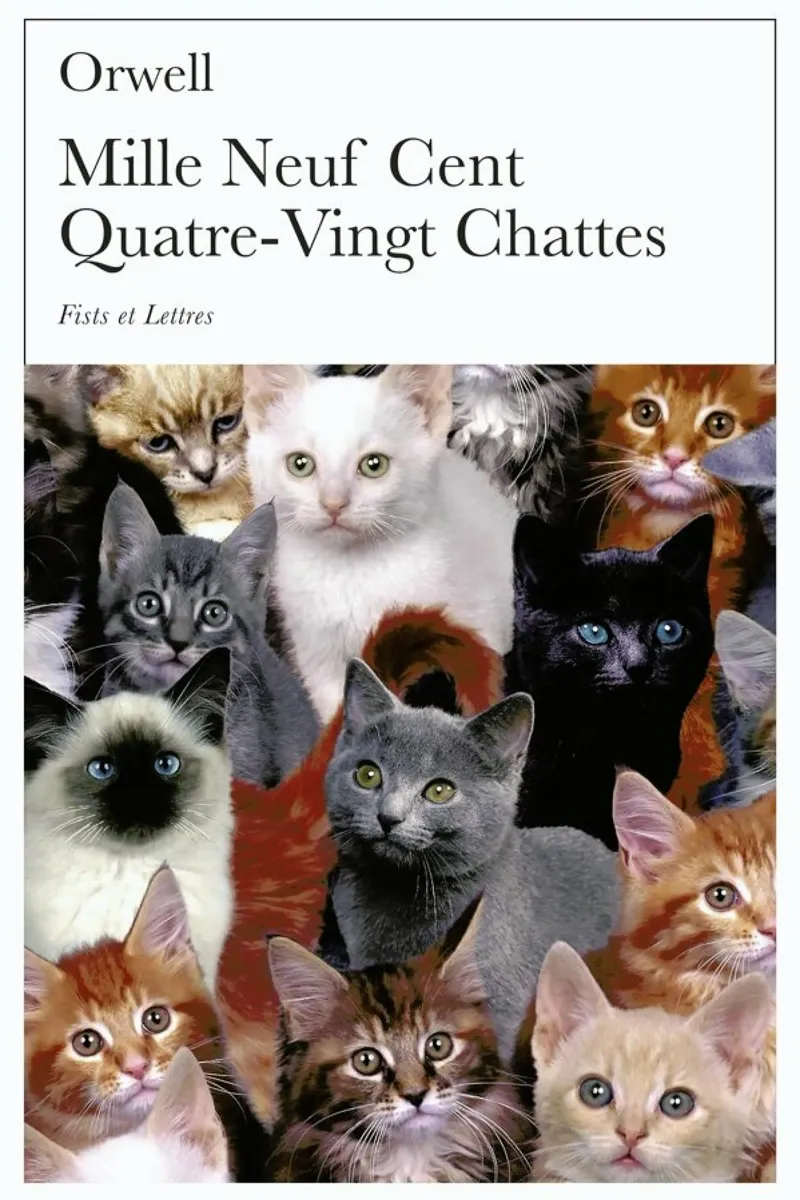 1980 - Chattes pellicola backlit da Fists Et Lettres
