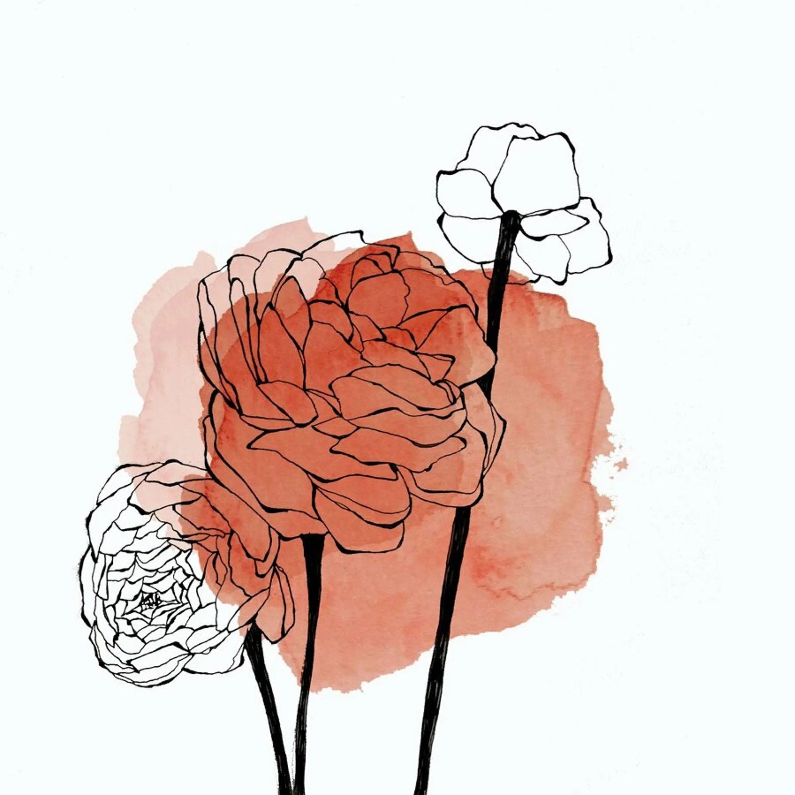 Ranunculus poster de Morgan Kendall
