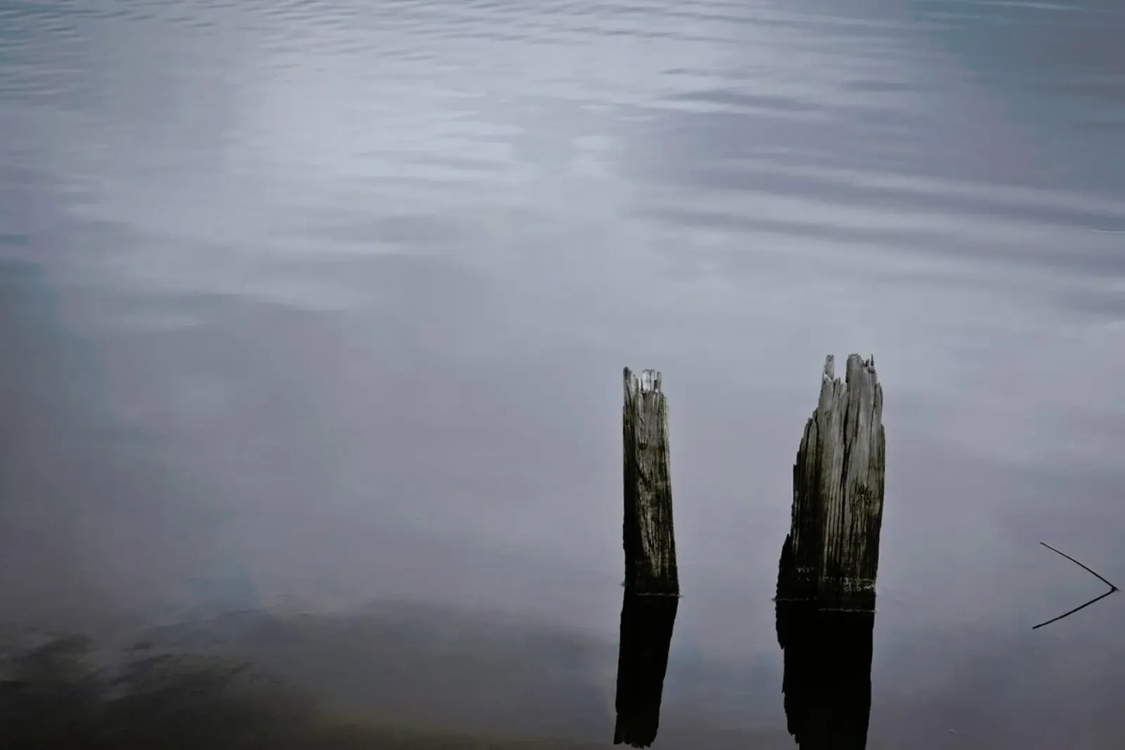 Mississippi Stillness acrylic glass by Marc Gruninger