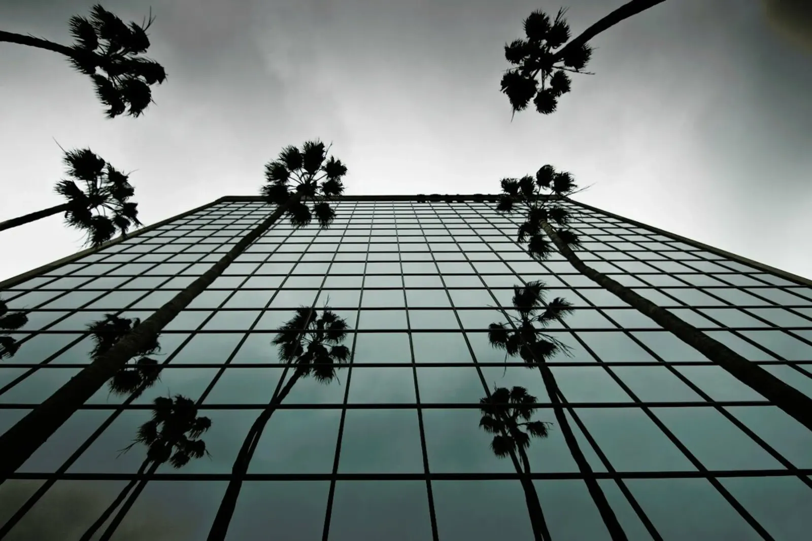 Reflections pellicola backlit da Marc Gruninger