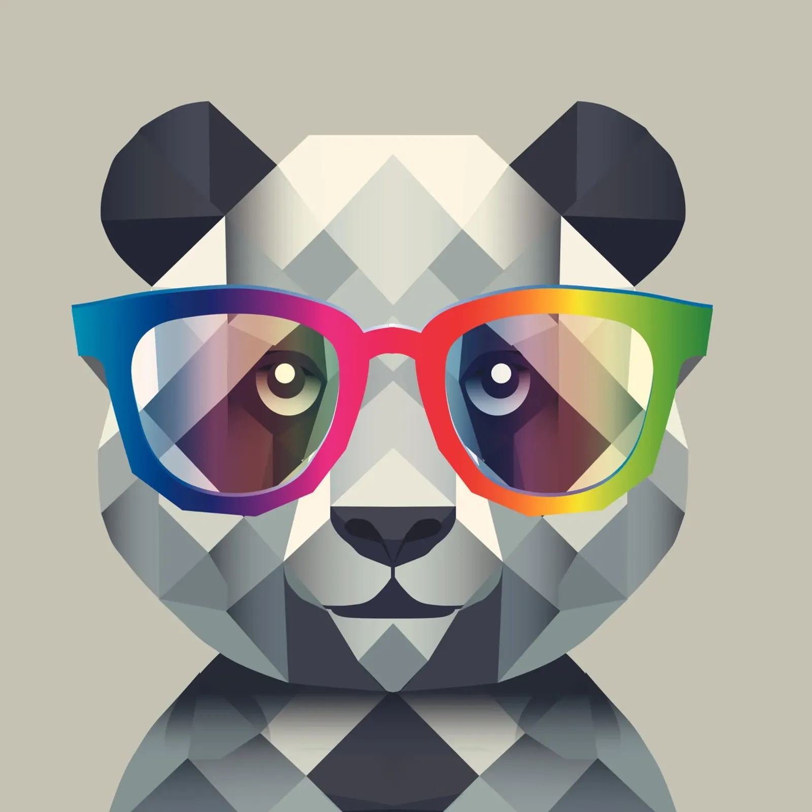 Panda molón: el estilo geométrico se une a las gafas de colores hahnemühle de namosh