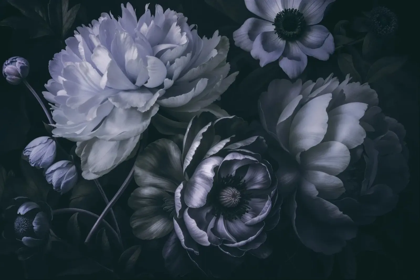 Moody Baroque Floral Symphony Midnight Blue hahnemühle by Andrea Haase Floral Passion