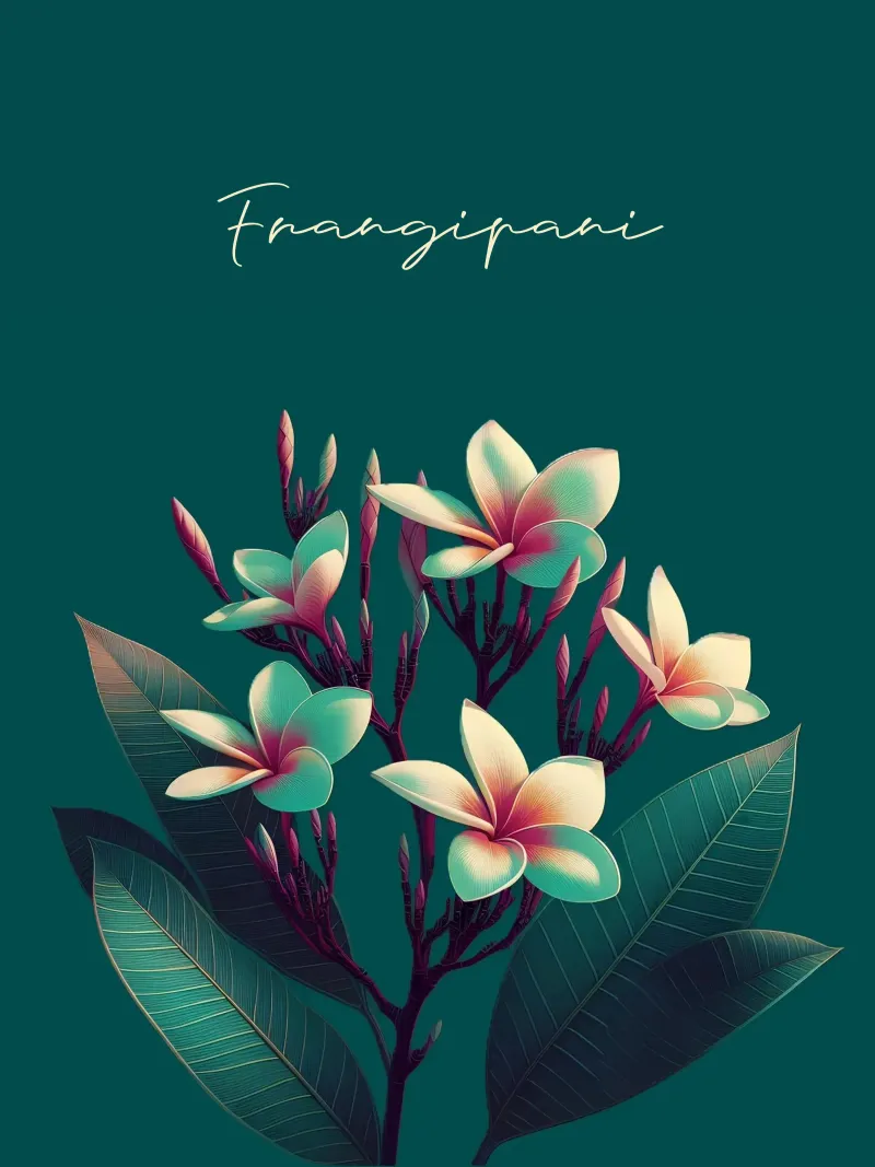 Frangipani poster da Digital Naive