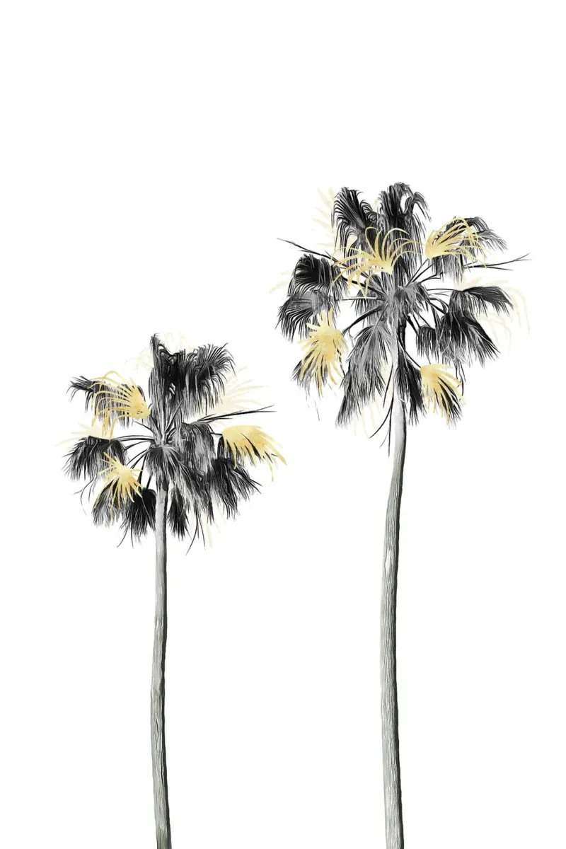 Albero di palme nero, bianco e oro 01 pellicola backlit da amini54