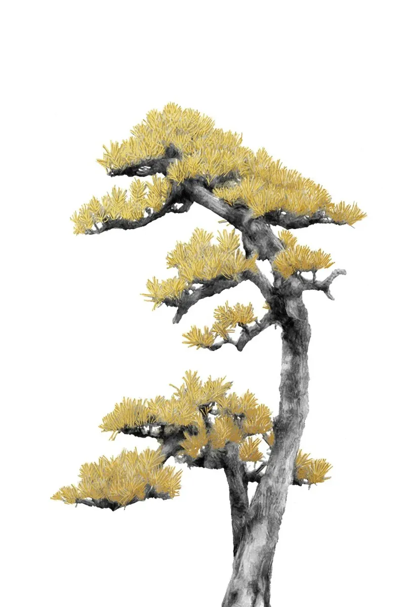 Bonsai Tree 04 plexiglass da amini54