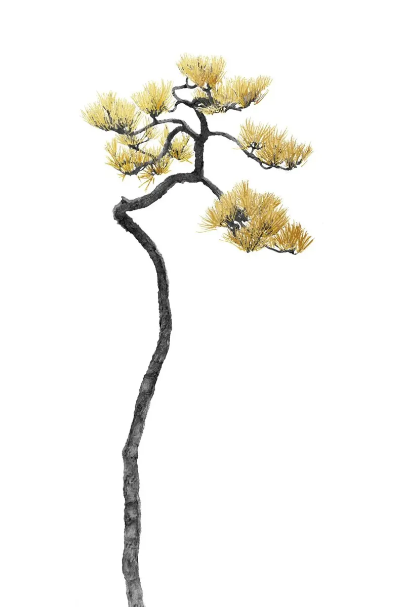 Bonsai Tree 05 pellicola backlit da amini54