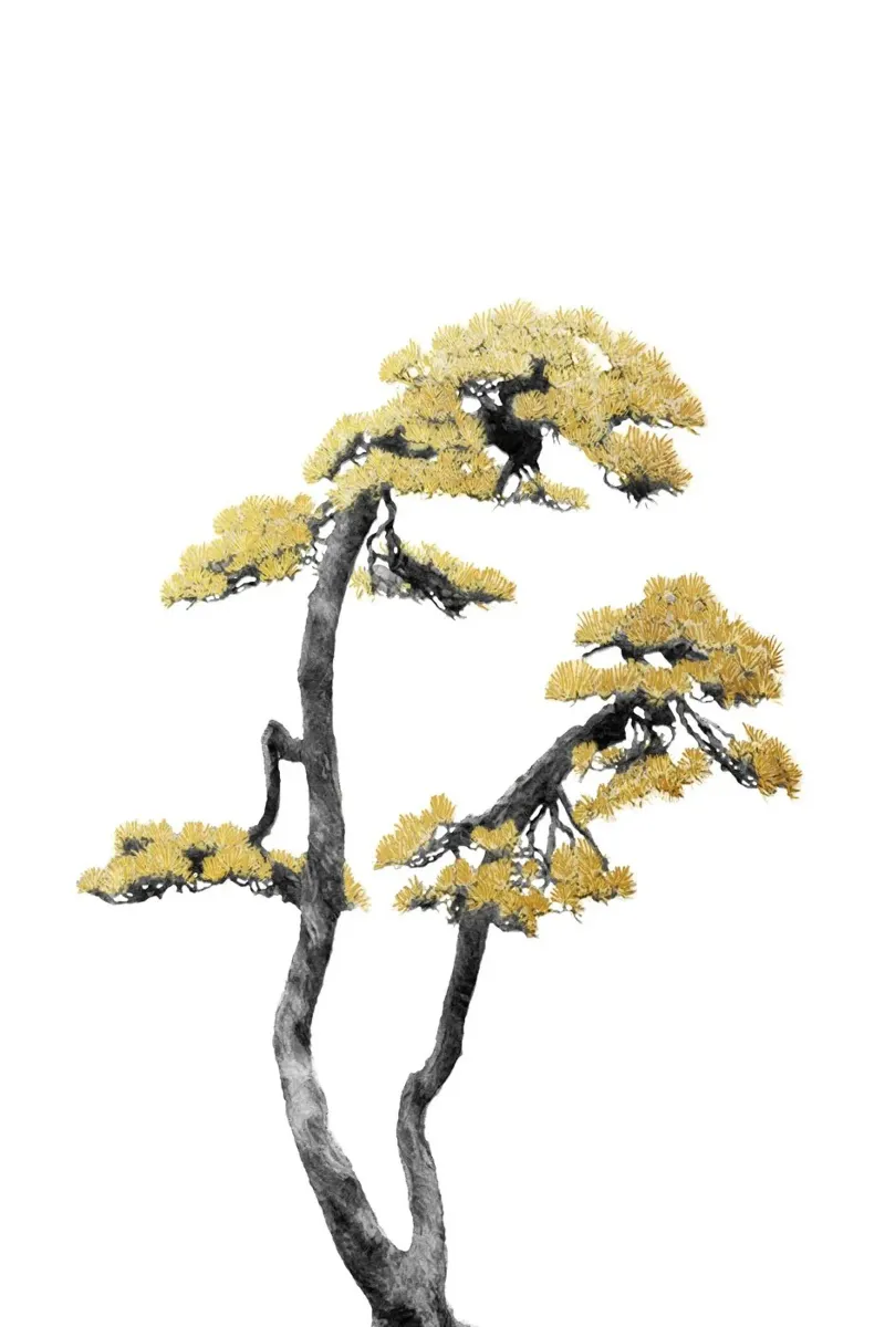 Bonsai Tree 06 pellicola backlit da amini54