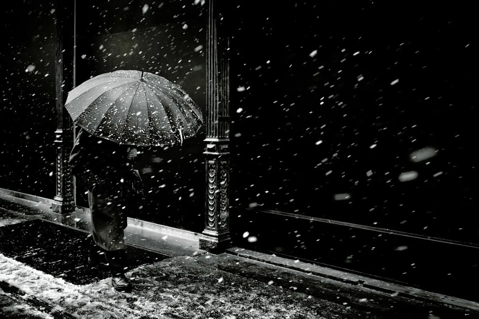 Untitled - Diego Bardone alluminio dibond da Pictufy