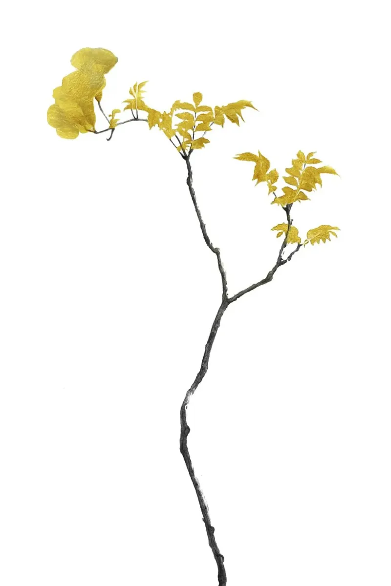 Bloem Minimal Zwart en Goud 01 canvas van amini54