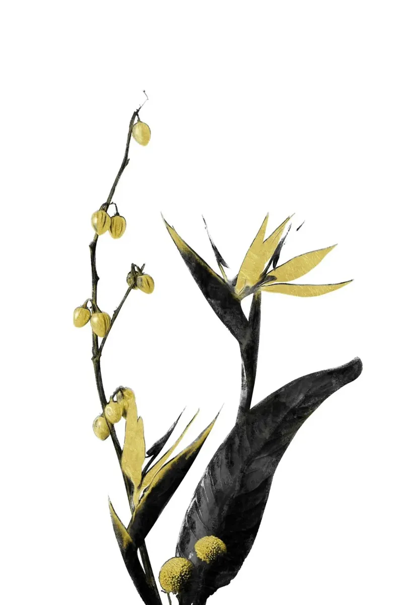 Bloem Minimal Zwart en Goud 02 canvas met Baklijst van amini54