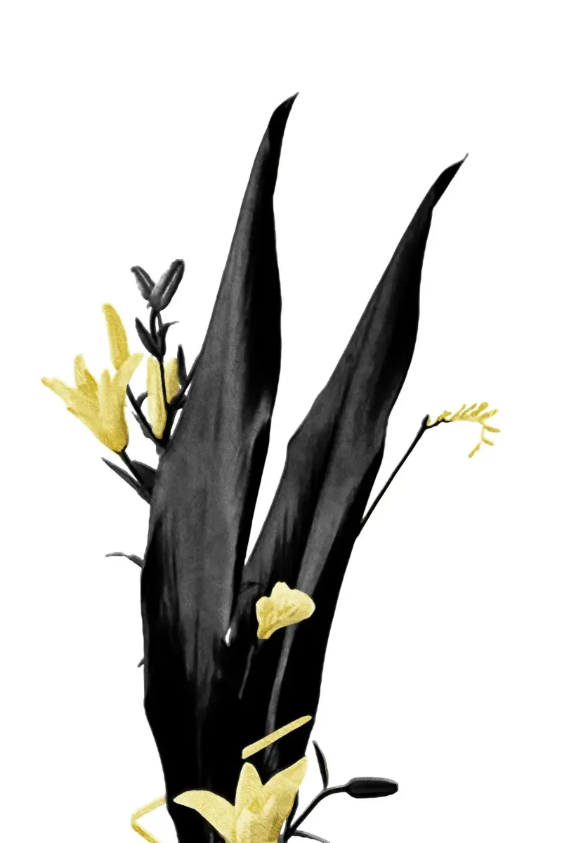 Bloem Minimal Zwart en Goud 03 canvas van amini54
