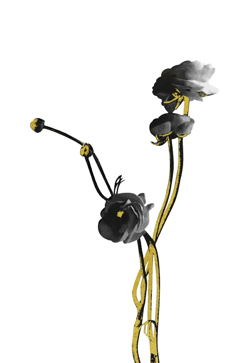 Fiore minimalista nero e oro 04 poster con telaio in plastica da amini54