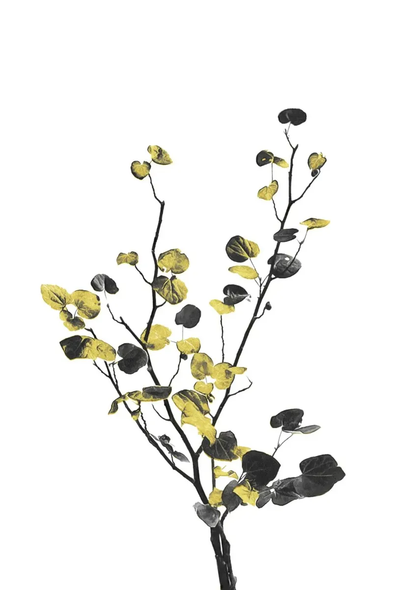 Fleur Minimale Noir et Or 07 hahnemühle de amini54