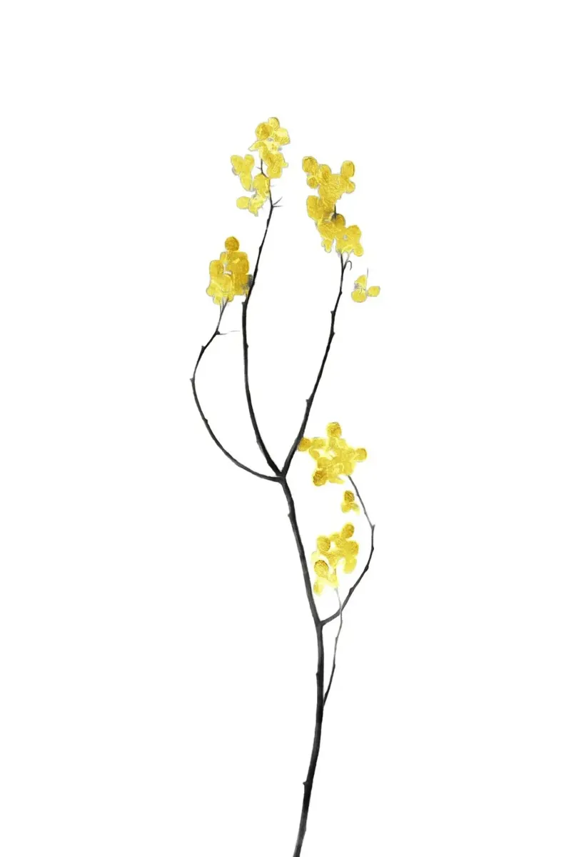 Bloem Minimal Zwart en Goud 09 canvas met Baklijst van amini54