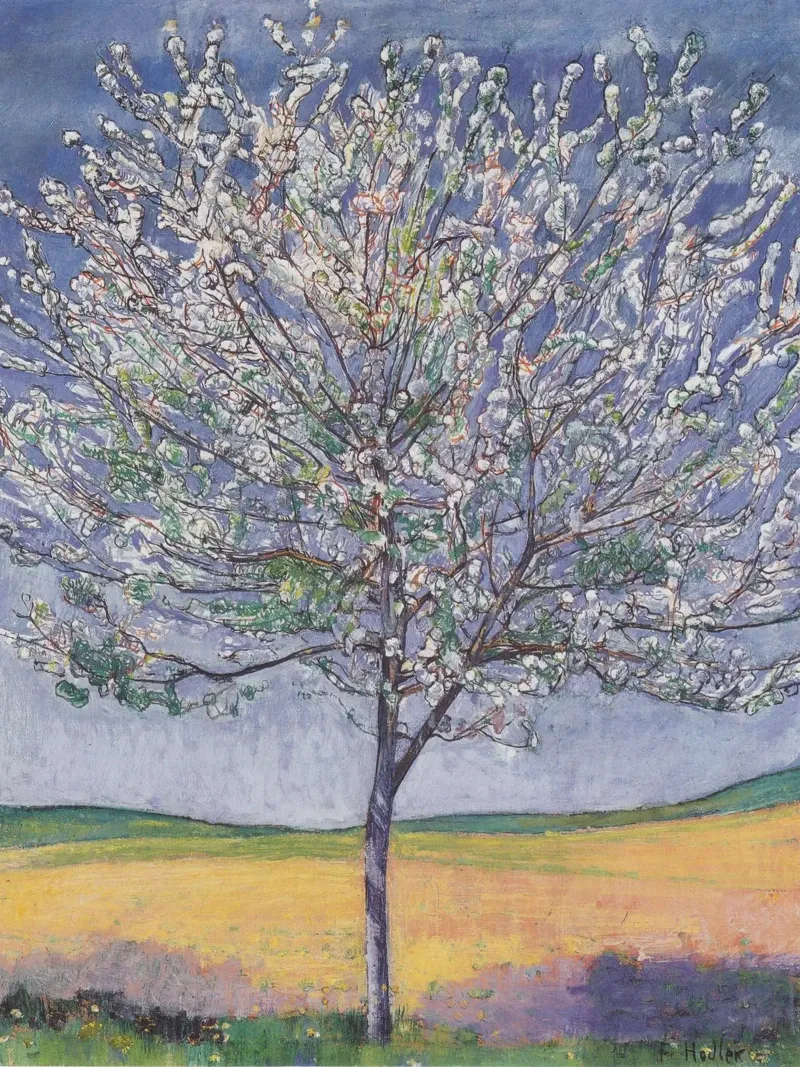 Ferdinand Hodler - Ciliegio in fiore pellicola backlit da William Store