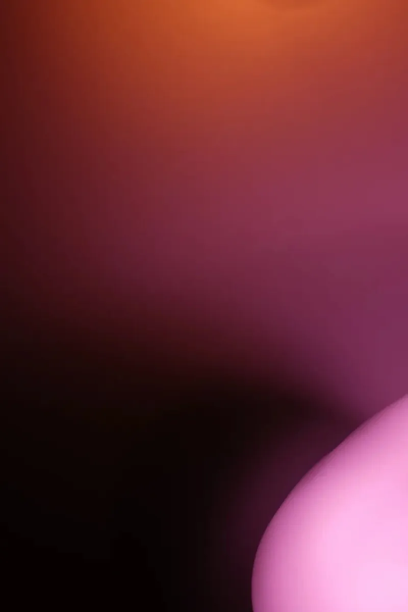Rosa plexiglass da Kristin R