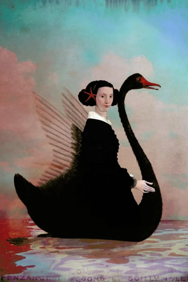 Black Swan pellicola backlit da Catrin Welz-Stein