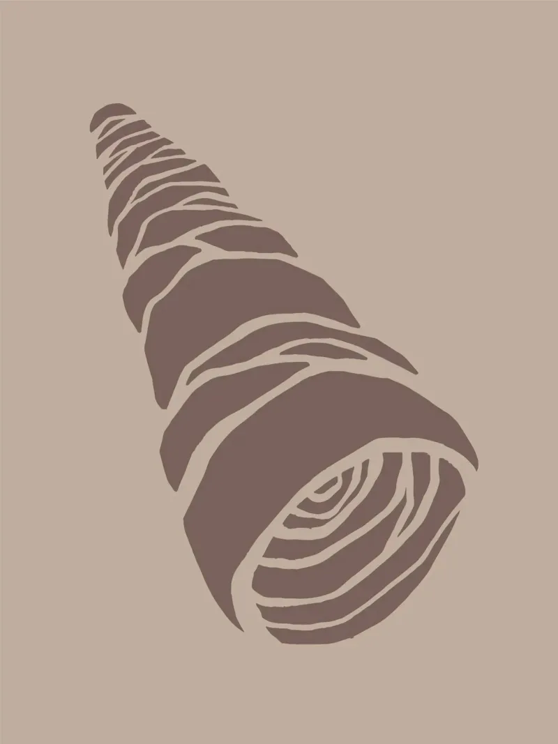 Seashell poster con telaio in plastica da Artsy Bessy