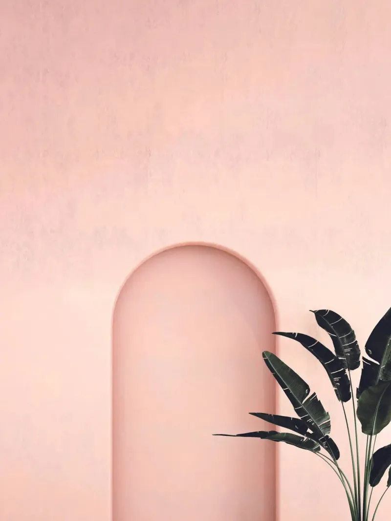 Forme eleganti - minimalismo botanico pellicola backlit da Whole©