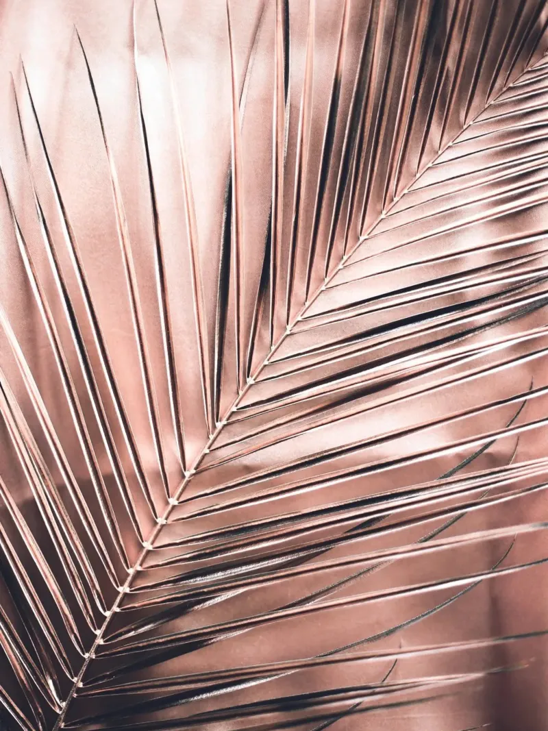 Tropical leaf structure - Elegant nature canvas with Floater frame by Whole©