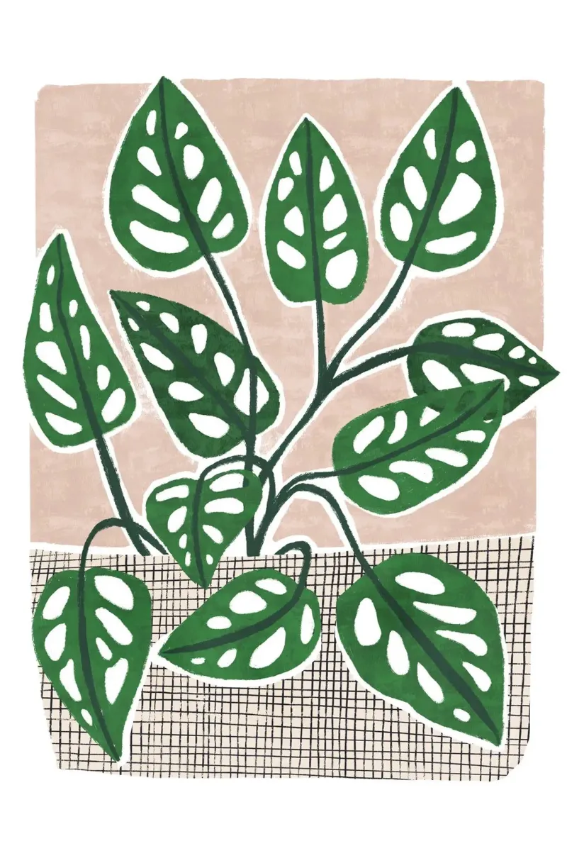 Pati Cascino - Monstera canvas met Baklijst van The Artcircle