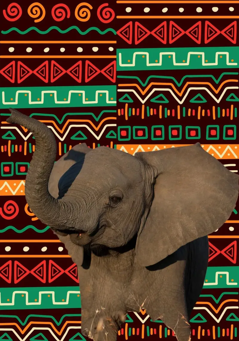 Elefant 2 poster con telaio in alluminio da Mounias Design
