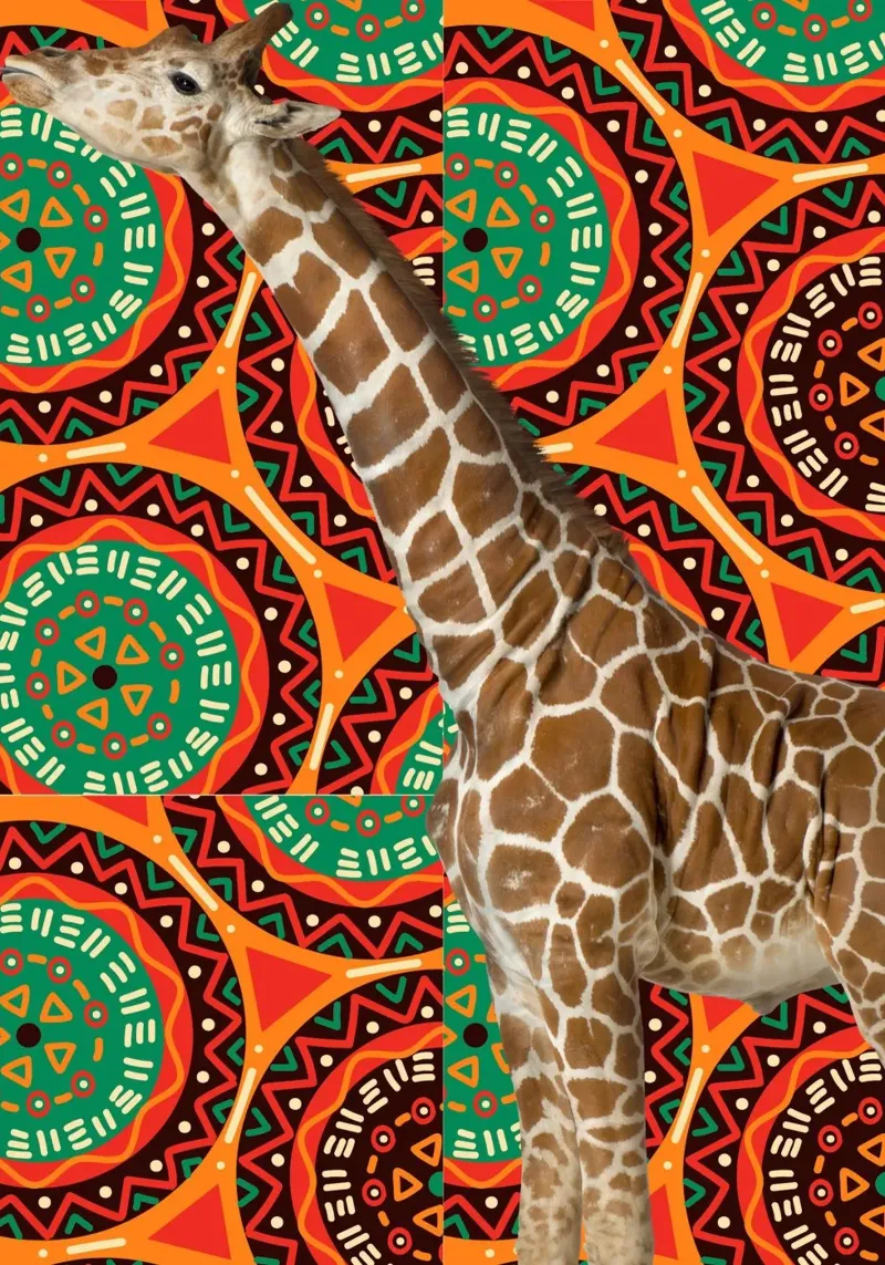 Giraffe poster con telaio in alluminio da Mounias Design