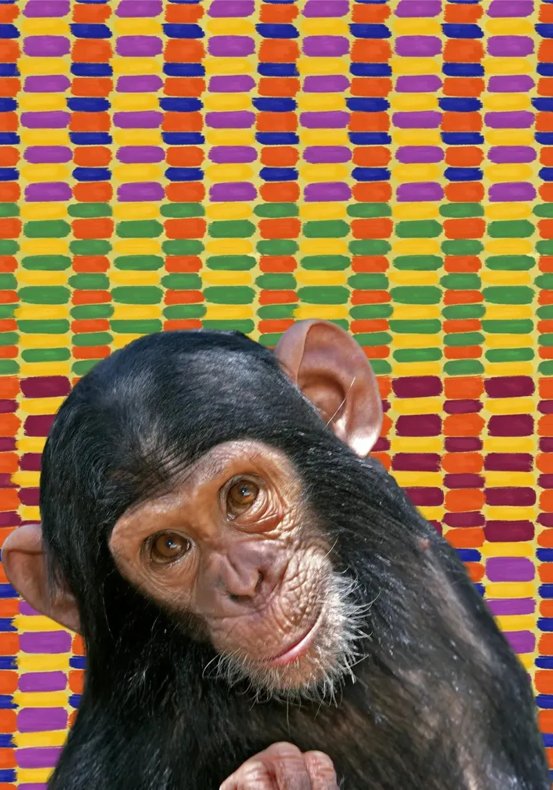 Affe poster con telaio in plastica da Mounias Design