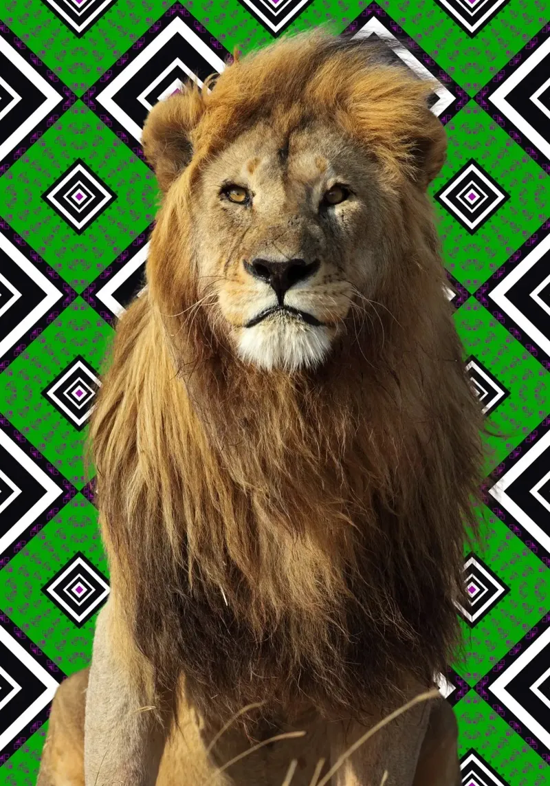 Löwe 2 canvas by Mounias Design