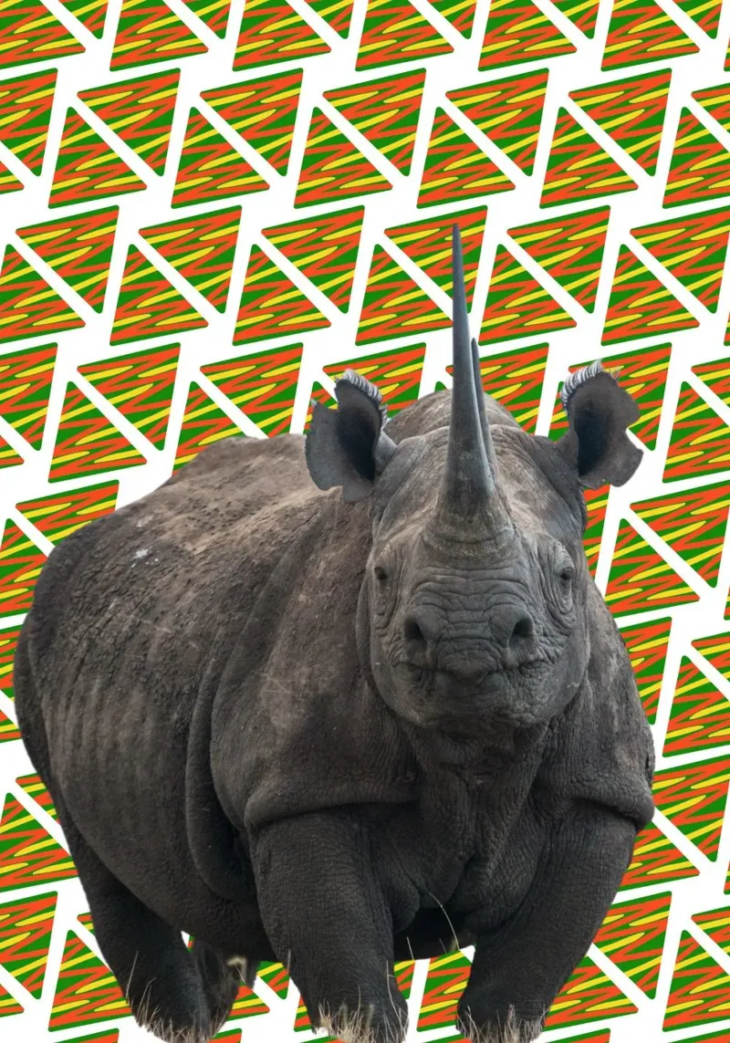 Nashorn Poster von Mounias Design