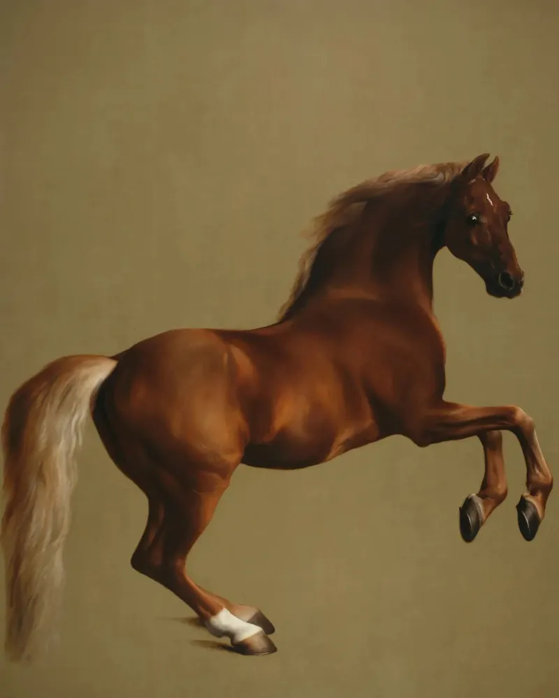 George Stubbs - Whistlejacket carta hahnemühle da ARTOTHEK