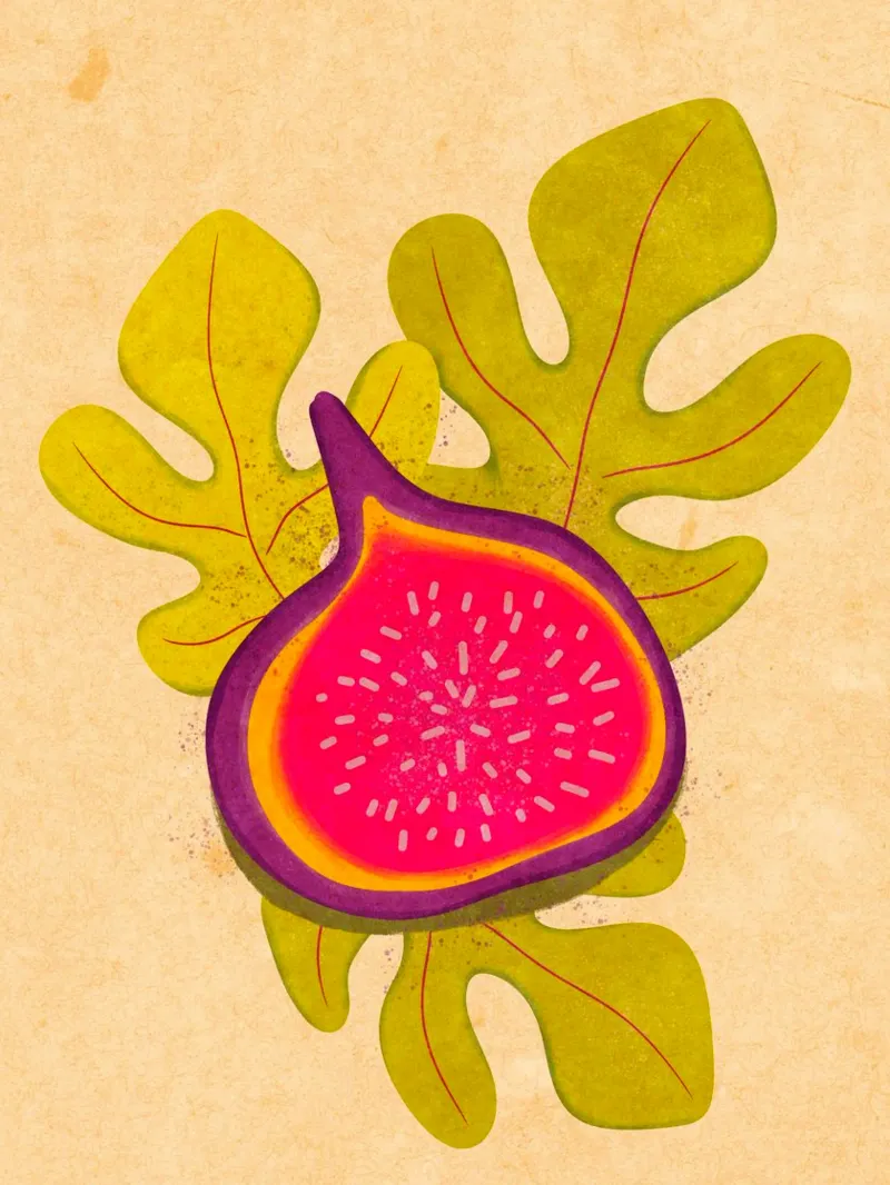 semplice Fig pellicola backlit da Illustration Raissa Oltmanns