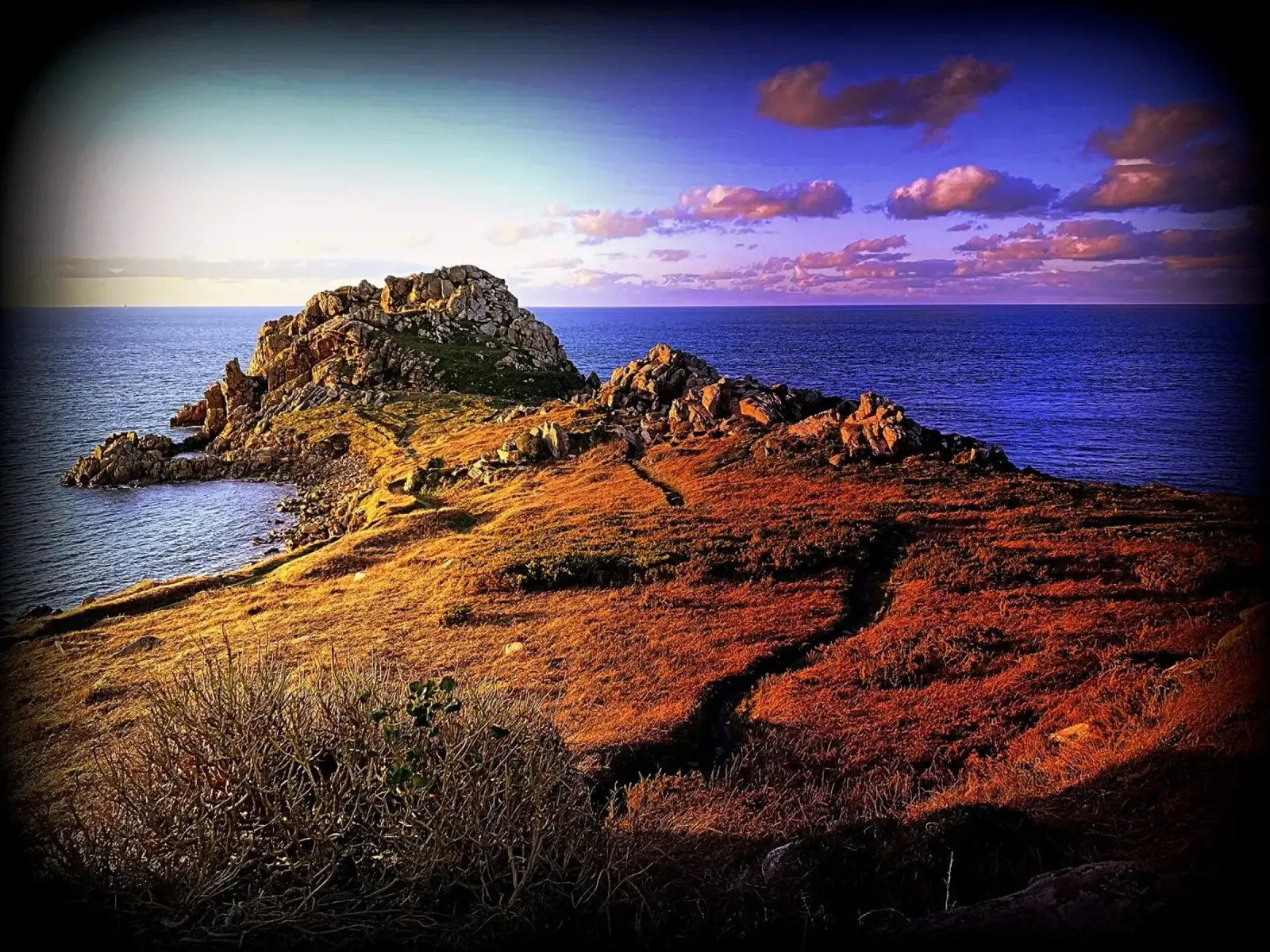 FAA75 pellicola backlit da Thierry vobmann photography