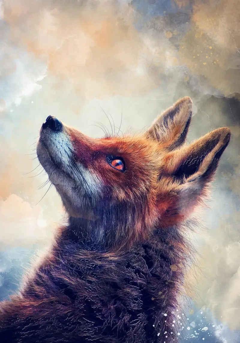 Incredibile arte animale della volpe pellicola backlit da Justyna Jaszke JBJart