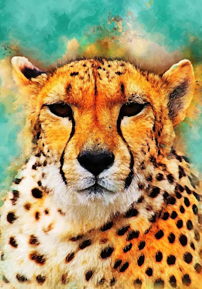 Arte animale leopardiana carta hahnemühle da Justyna Jaszke JBJart