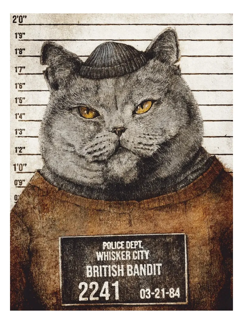British Bandit tela con Cornice a cassetta da mikekoubou