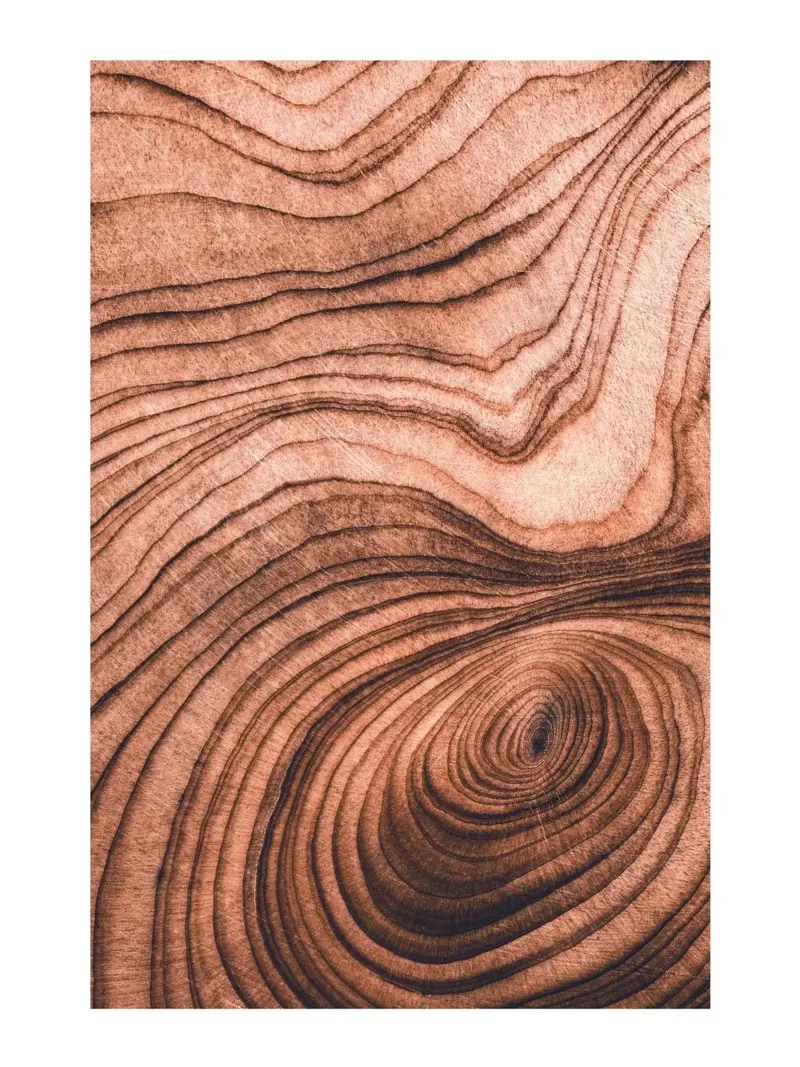 Houtnerf abstract | Natuurlijk muurschildering ontwerp canvas van Whole©