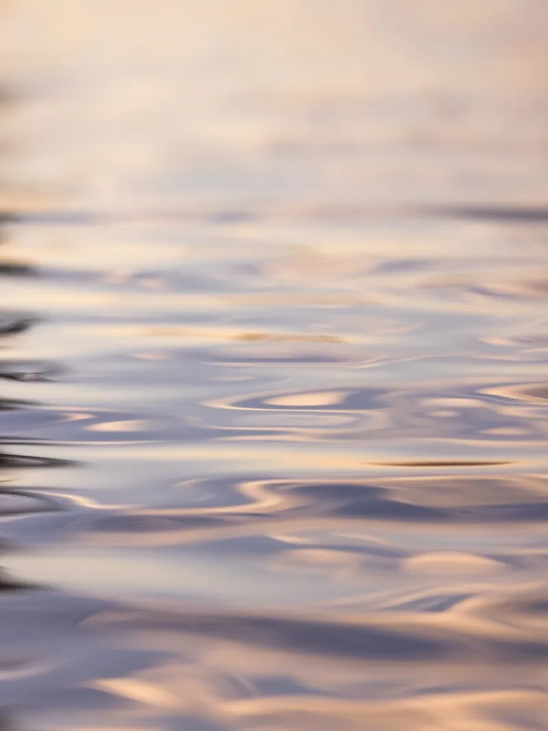 Sunset Reflections 1 carta hahnemühle da Mareike Böhmer Photography