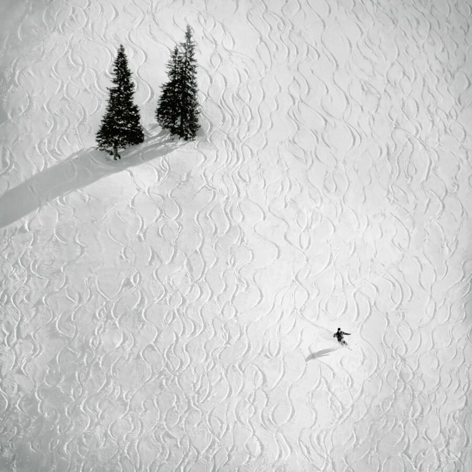 Drawing his own… - Peter Svoboda Poster von Pictufy