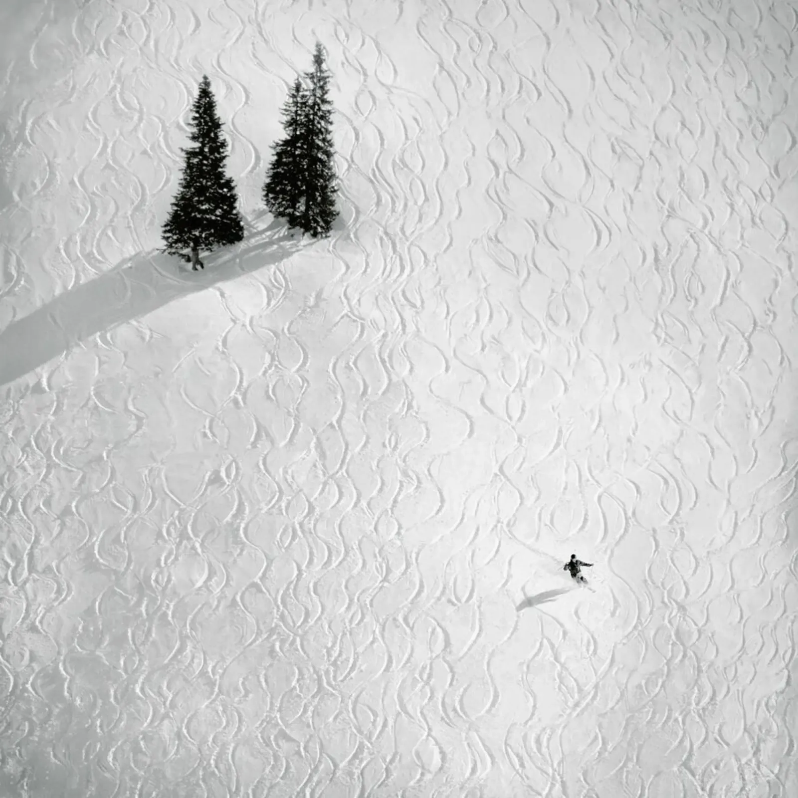 Drawing his own… - Peter Svoboda poster da Pictufy